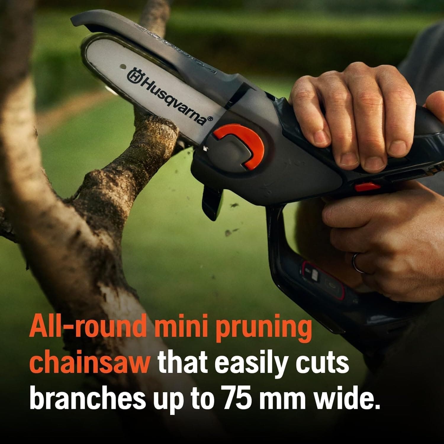 Aspire Pruner